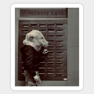 Polar bear in Drewery Lane Sticker